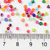 13/0 Glass Seed Beads SEED-T005-11A-2