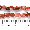 Natural South Red Agate Beads Strands G-P497-01C-06-5