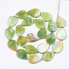 AB Color Freshwater Shell Beads Strands X-SHEL-S274-38C-2