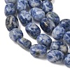 Natural Blue Spot Jasper Beads Strands G-C286-A01-3