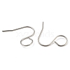 316 Surgical Stainless Steel Earring Hooks STAS-D093-01B-P-2