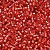 TOHO 6/0 Round Beads X-SEED-TR06-2201-4
