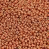 MIYUKI Round Rocailles Beads X-SEED-G007-RR4207-2