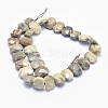 Natural Fossil Coral Beads Strands G-K256-43A-2