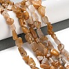 Natural Yellow Rutilated Quartz Beads Strands G-P497-01C-58-2