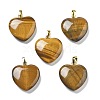Natural Tiger Eye Pendants G-G956-B01-G-1