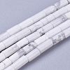 Natural Howlite Beads Strands G-G783-06-1