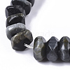 Natural Hawk's Eye Beads Strands G-R462-10-3