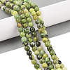 Natural Serpentine Beads Strands G-G829-06-10mm-2