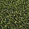 8/0 Glass Seed Beads X2-SEED-A005-3mm-24-2