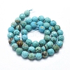 Natural Magnesite Beads Strands G-D0012-01C-2