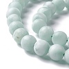 Frosted Natural Glass Beads Strands G-I247-15J-4