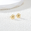 Stainless Steel Stud Earrings XO5531-2-1