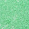 Baking Paint Glass Seed Beads SEED-S042-05B-59-3