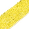 Glass Beads Strands EGLA-T021-01N-1