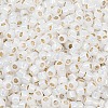TOHO 8/0 Round Beads SEED-XTR08-2100-2