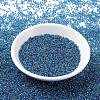MIYUKI Round Rocailles Beads SEED-G007-RR0339-2