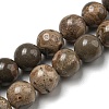 Natural Map Stone/Picasso Stone Beads Strands G-R494-A24-03-1