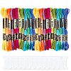 6-Ply Polyester Embroidery Floss OCOR-CY0002-03B-04-1