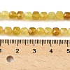 Natural Yellow Opal Beads Strands G-R013-C01-5