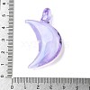 Handmade Lampwork Pendants LAMP-R001-06E-3