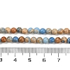 Dyed Natural Regalite/Imperial Jasper/Sea Sediment Jasper Beads Strands G-B124-C04-13-4