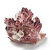 Natural Conch Shell Display Decorations AJEW-H126-06-2