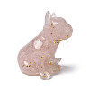 Resin Dog Display Decoration DJEW-P021-C02-2