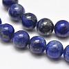 Natural Lapis Lazuli Round Bead Strands G-E262-01-12mm-2