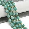 Natural Amazonite Beads Strands G-N342-46-2