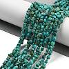 Natural HuBei Turquoise Beads Strands G-B089-B01-01-2