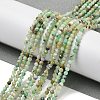 Natural Chalcedony Beads Strands G-G189-D21-01-2