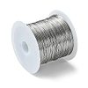 Non-Tarnish 316 Stainless Steel Wire TWIR-L004-01C-P-2