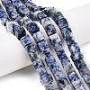 Natural Blue Spot Jasper Beads Strands G-T139-8x8-41-1