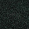 MIYUKI Round Rocailles Beads X-SEED-G008-RR0156-2