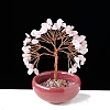 Natural Rose Quartz Chips Tree of Life Decorations with Bowl Base PW-WG1DC7A-03-1