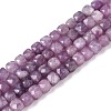 Natural Lepidolite/Purple Mica Stone Beads Strands G-N342-139-1