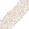 Electroplate Glass Faceted Rondelle Beads Strands EGLA-D020-3x2mm-05-1