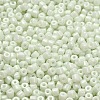 Baking Paint Pearlized Glass Seed Beads SEED-C001-04A-01-3