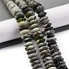 Natural Xinyi Jade/Chinese Southern Jade Beads Strands G-C171-A01-01-2