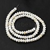 Natural Freshwater Shell Beads Strands BSHE-E026-15A-01-3