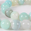 Natural Gemstone Agate Round Bead Strands G-E234-15-1