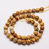 Natural Picture Jasper Beads Strands G-G542-10mm-08-2