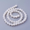 Shell Beads Strands SSHEL-E571-38-6mm-2