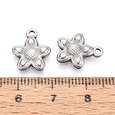 304 Stainless Steel Pendants LS-STAS-N123-08P-1