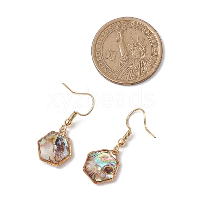 Natural Paua Shell Dangle Earrings EJEW-JE06274-1
