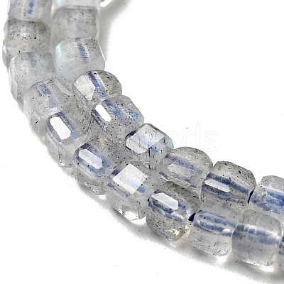 Natural Labradorite Beads Strands G-D470-07-1