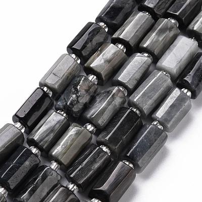 Natural Hawk's Eye Beads Strands G-S345-8x11-009-1