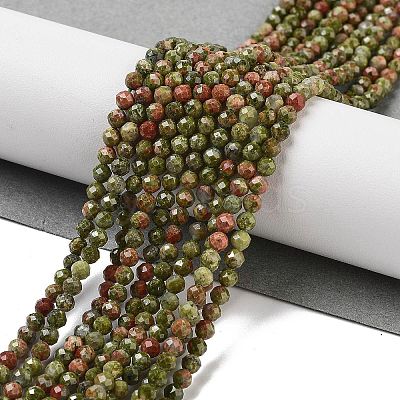 Natural Unakite Beads Strands G-B088-C15-03-1