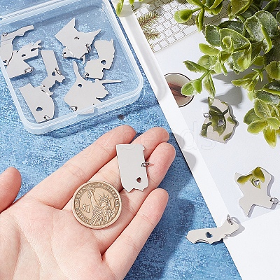 12Pcs 12 Style 201 Stainless Steel Pendants STAS-UN0001-03-1